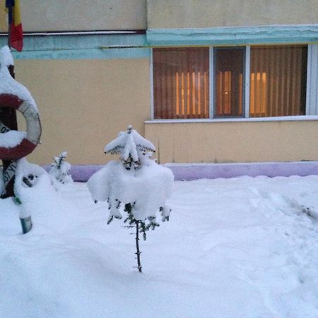 Apartament Slănic-Moldova Dış mekan fotoğraf