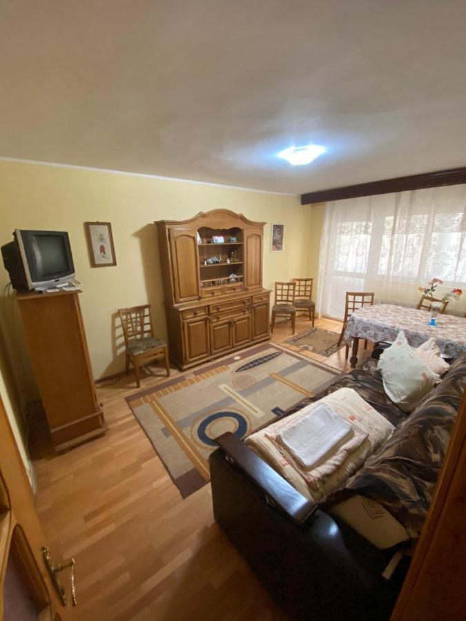 Apartament Slănic-Moldova Dış mekan fotoğraf